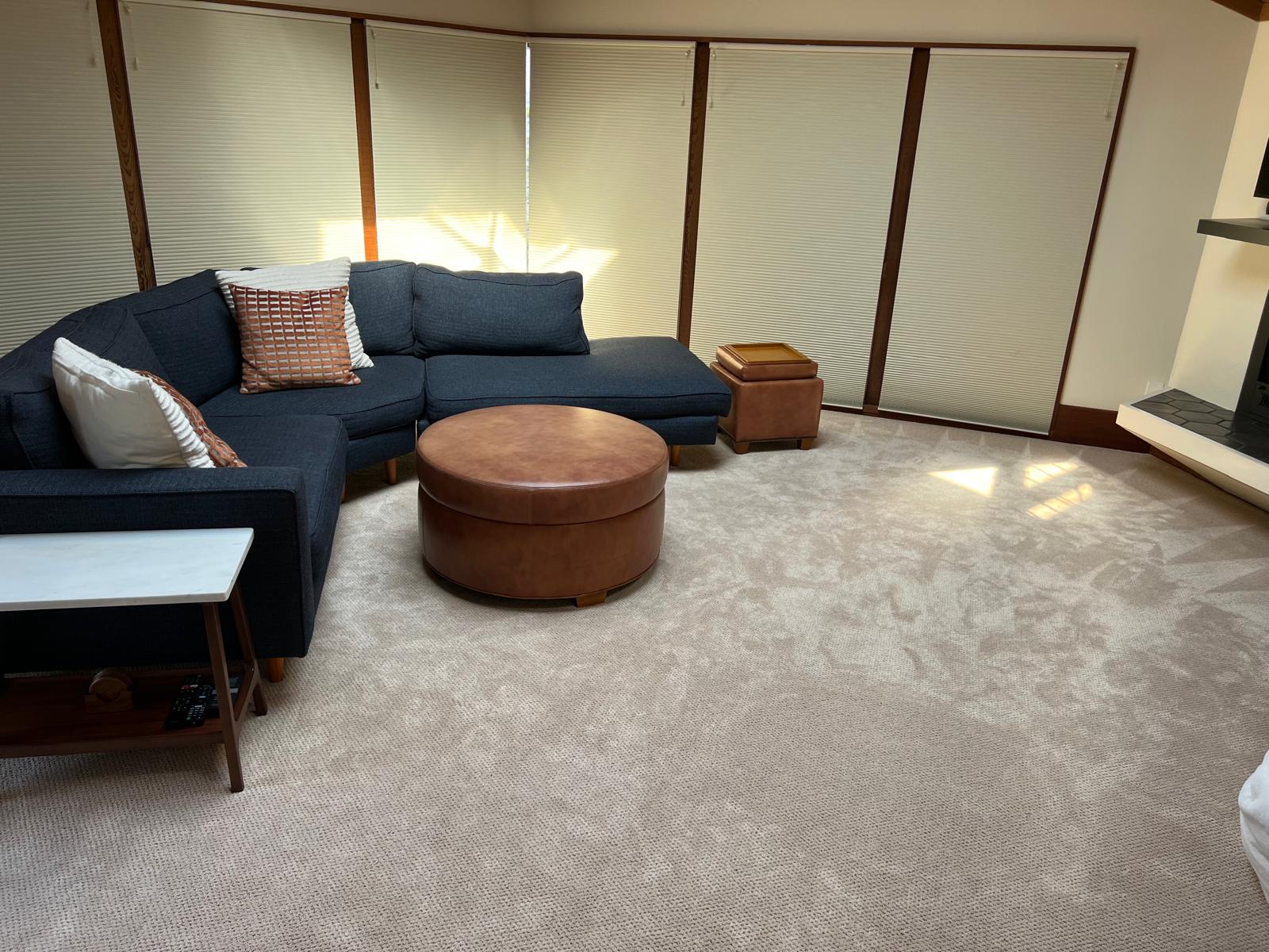 Before — Carpet Cleaning