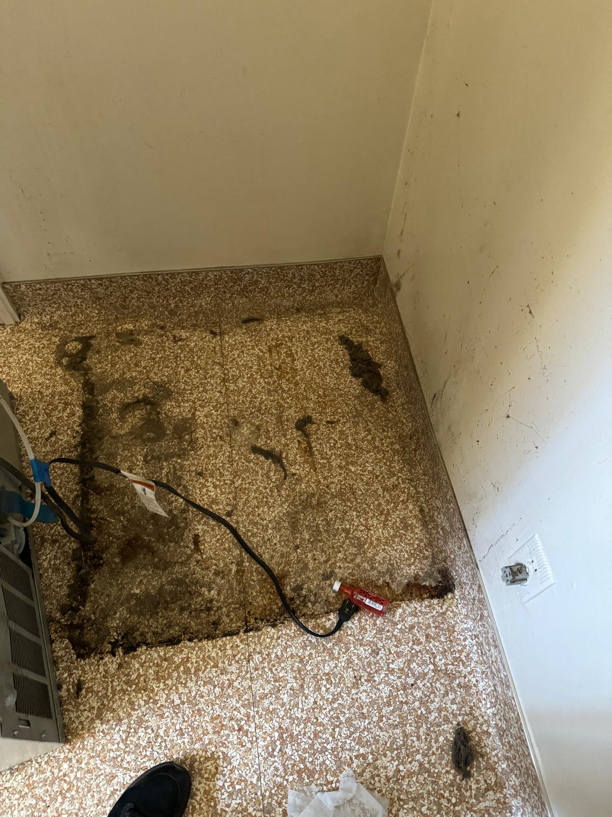 Before — Laundry Room